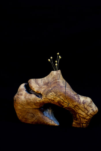 Lesena vaza iz korenine oljke